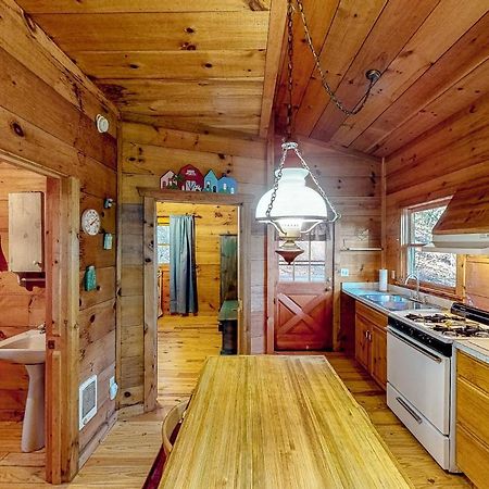 The Scaly Mountain Cabin Bagian luar foto
